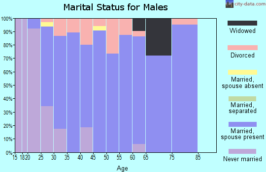 Zip code 77534 marital status for males