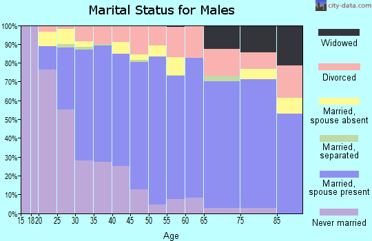 Zip code 77539 marital status for males
