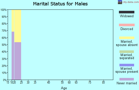 Zip code 77553 marital status for males