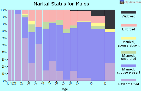 Zip code 77563 marital status for males