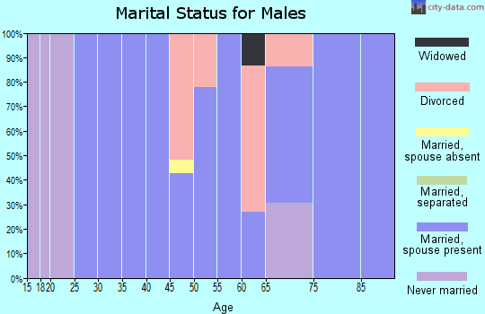 Zip code 77564 marital status for males