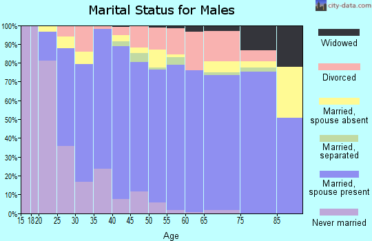 Zip code 77581 marital status