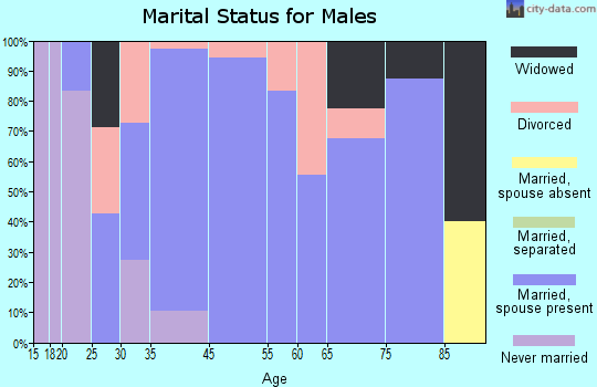 Zip code 77582 marital status for males