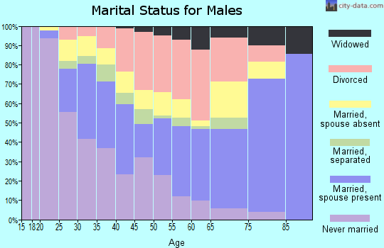 Zip code 77583 marital status for males
