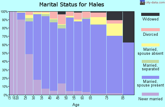 Zip code 77584 marital status