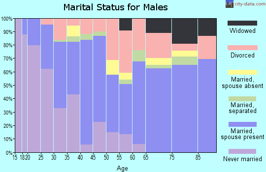 Zip code 77591 marital status for males