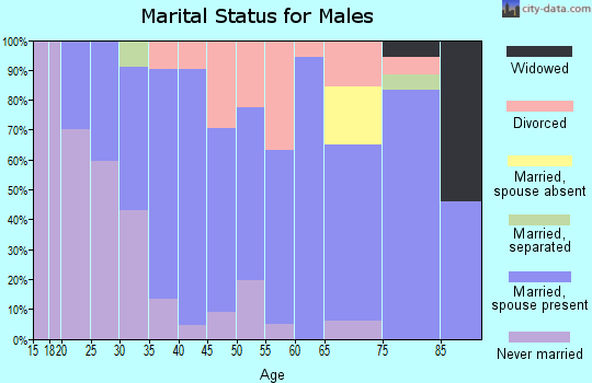 Zip code 77611 marital status for males