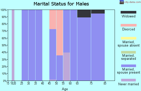 Zip code 77624 marital status for males