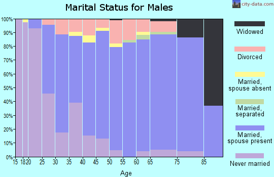 Zip code 77651 marital status for males