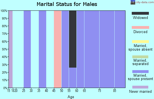 Zip code 77663 marital status for males