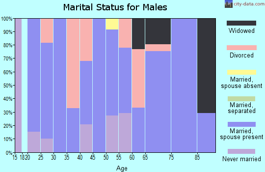 Zip code 77664 marital status for males
