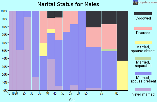 Zip code 77665 marital status for males