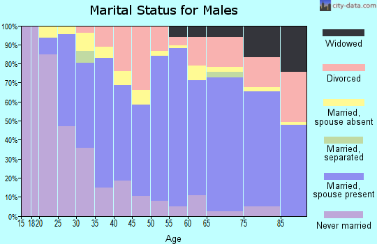 Zip code 77802 marital status for males