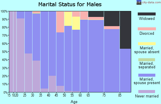 Zip code 77808 marital status for males
