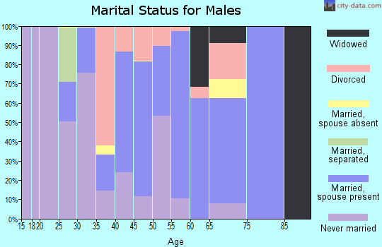 Zip code 77830 marital status for males