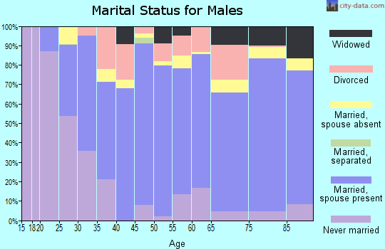 Zip code 77836 marital status for males
