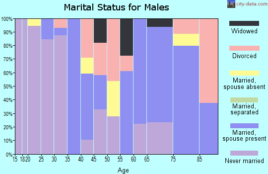Zip code 77837 marital status for males