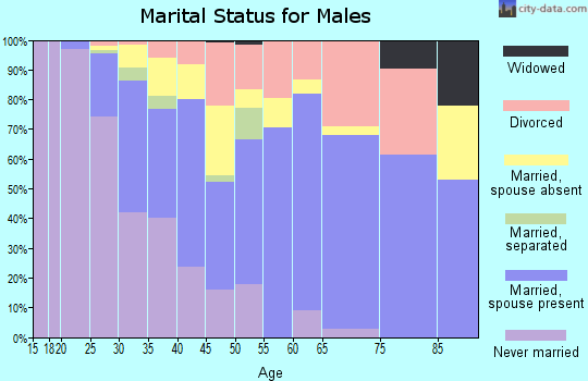 Zip code 77840 marital status