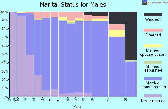Zip code 77845 marital status for males