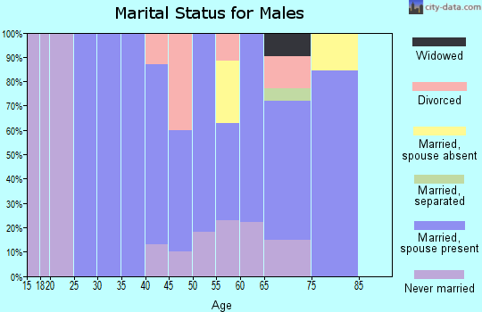 Zip code 77853 marital status for males