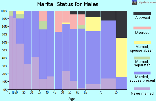 Zip code 77856 marital status for males