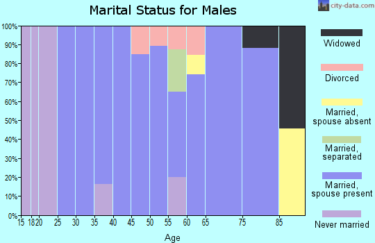 Zip code 77857 marital status for males