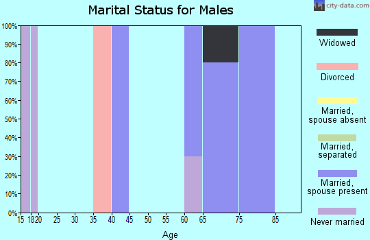Zip code 77867 marital status for males