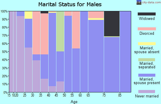 Zip code 77871 marital status for males