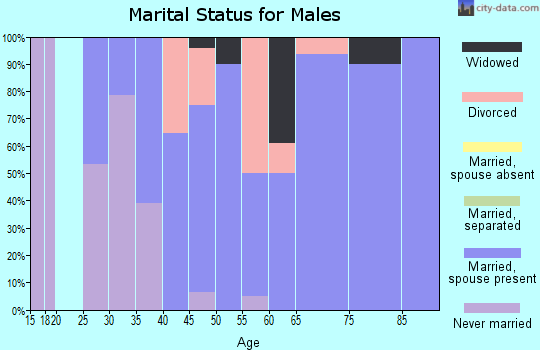 Zip code 77873 marital status for males