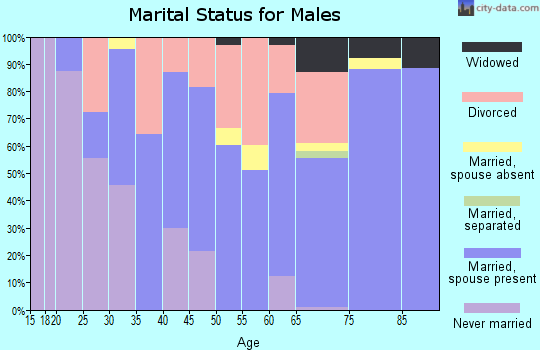 Zip code 77879 marital status for males