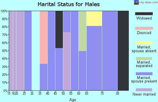 Zip code 77880 marital status for males
