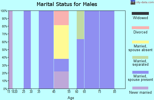 Zip code 77882 marital status for males