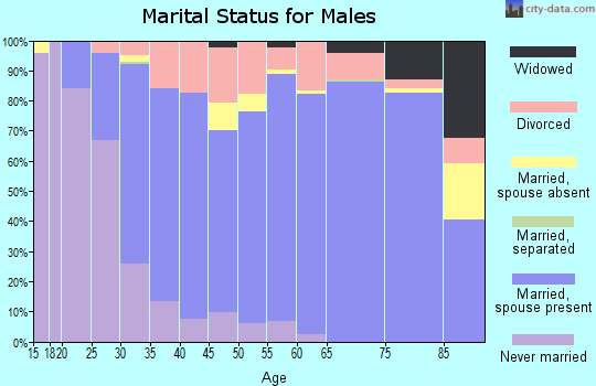 Zip code 77904 marital status for males