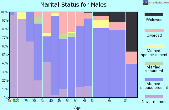 Zip code 77905 marital status for males