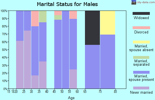 Zip code 77951 marital status for males