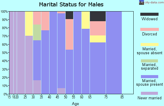 Zip code 77968 marital status for males