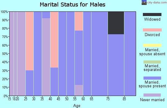 Zip code 77974 marital status for males