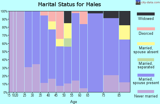 Zip code 77975 marital status for males