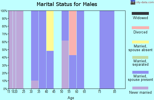 Zip code 77977 marital status for males