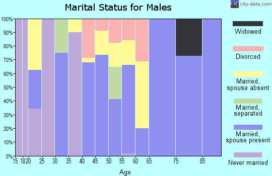 Zip code 77978 marital status for males