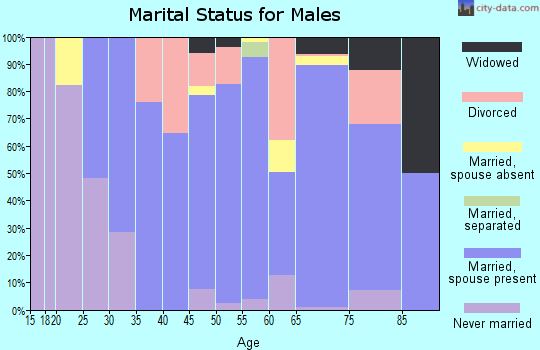 Zip code 77984 marital status for males