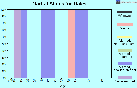 Zip code 77988 marital status for males