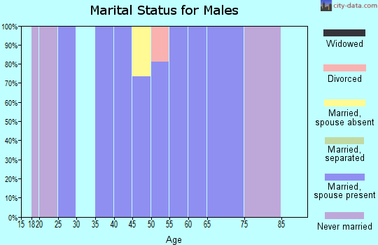 Zip code 78004 marital status for males