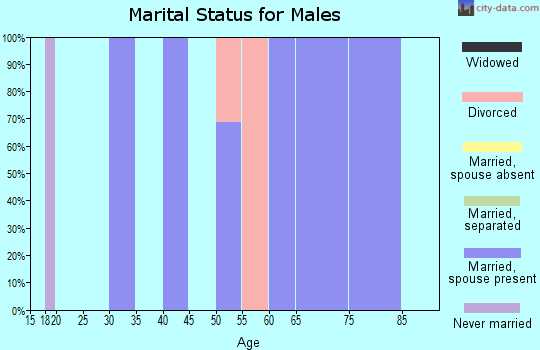 Zip code 78005 marital status for males