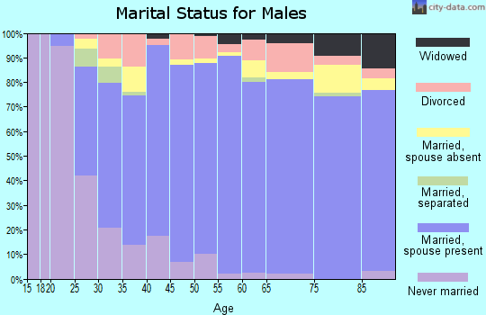 Zip code 78006 marital status for males