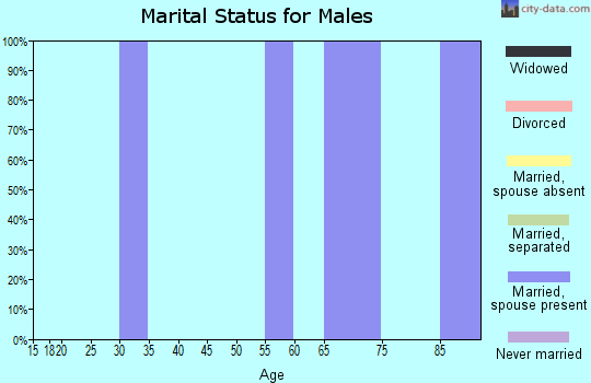 Zip code 78008 marital status for males