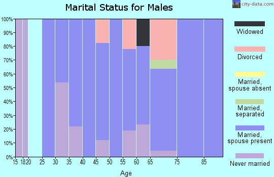 Zip code 78010 marital status for males