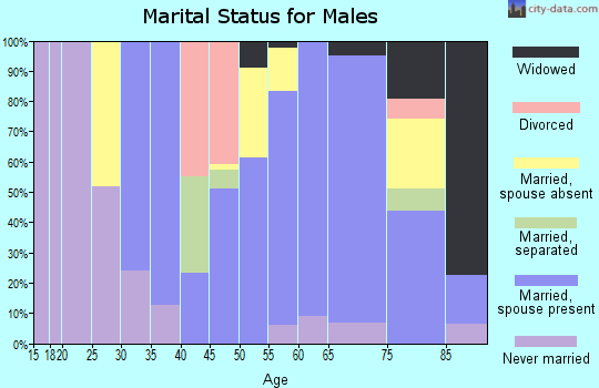 Zip code 78013 marital status for males
