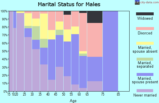 Zip code 78014 marital status for males