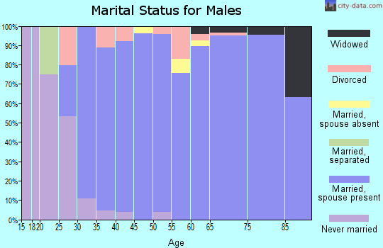 Zip code 78015 marital status for males